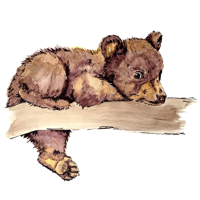 Bear Cub Painting Print – sol exposure
