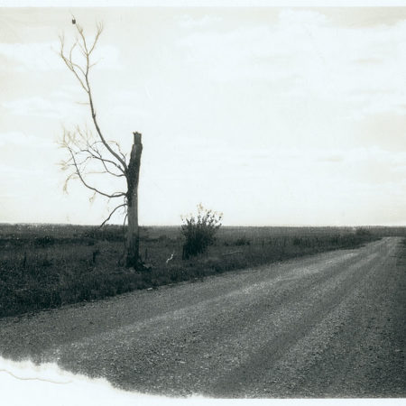 Emporia - Original Polaroid