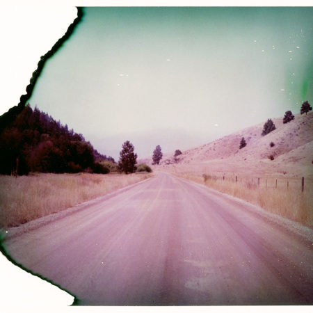 Darby - Original Polaroid