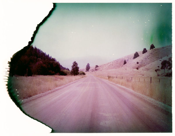 Darby - Original Polaroid
