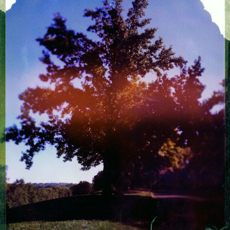 Esplanade - Original Polaroid