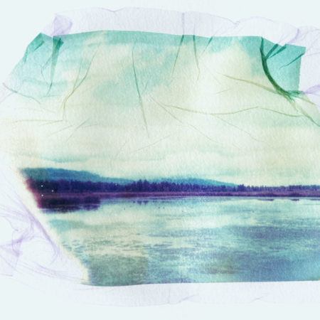 Stevensville Polaroid Emulsion Lift