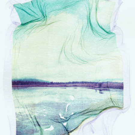 Stevensville Polaroid Emulsion Lift