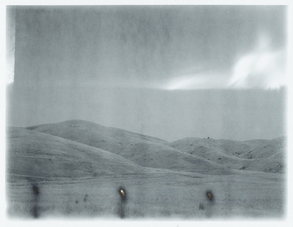 Darby - Original Polaroid