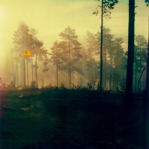 Controlled Burn Pt 1