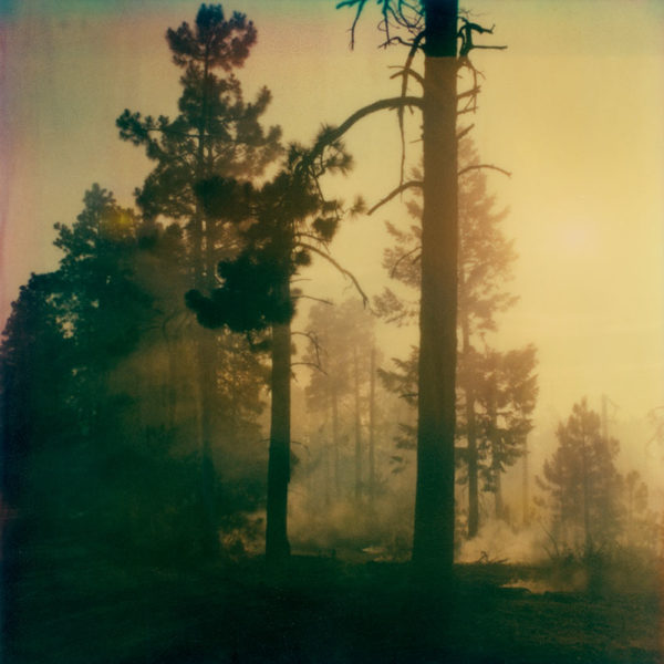 Controlled Burn Pt 2