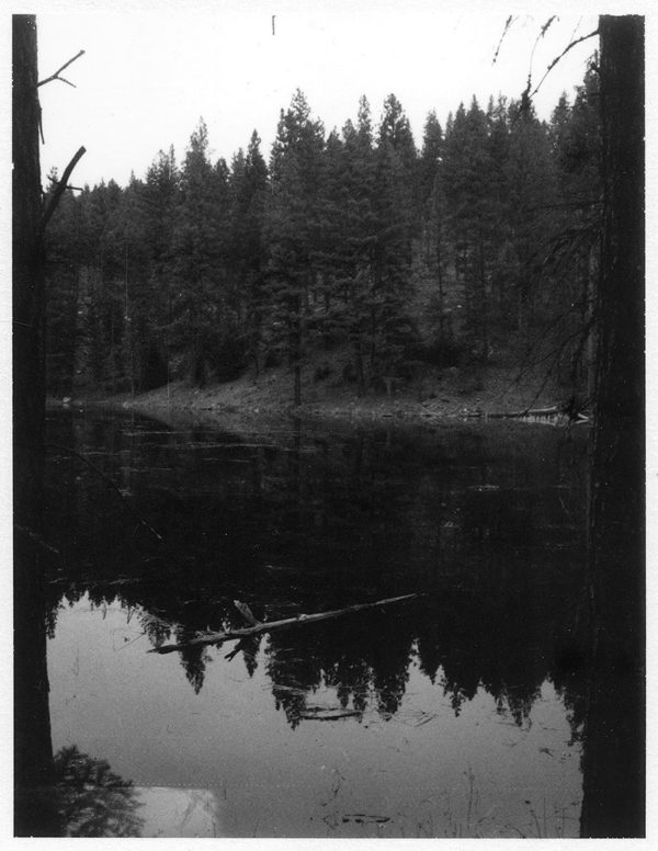 Darby - Original Polaroid