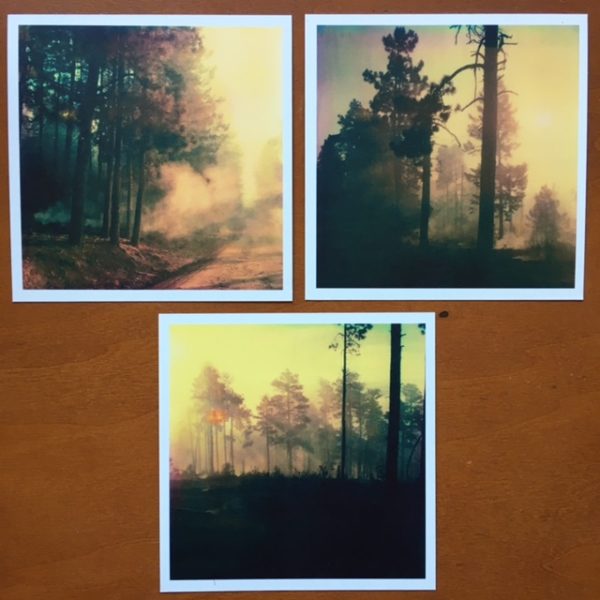 Controlled Burn Triptych - Framed