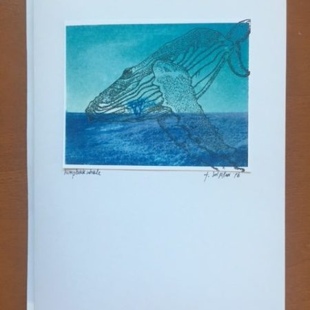 Humpback Whale