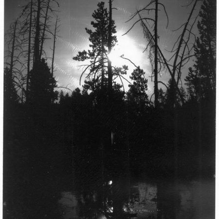 Yellowstone Noir - Original Polaroid
