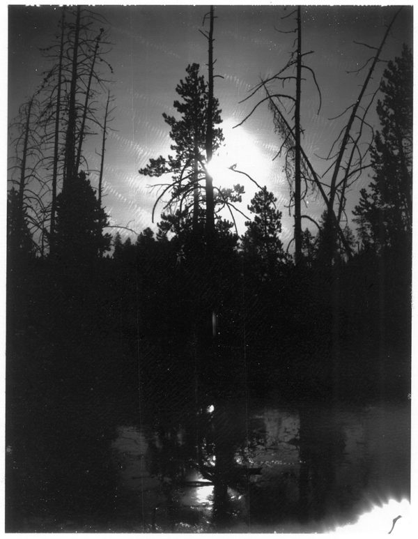 Yellowstone Noir - Original Polaroid