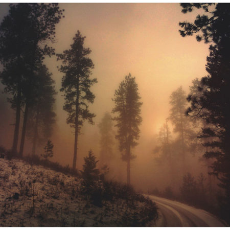 Lolo National Forest Print Set