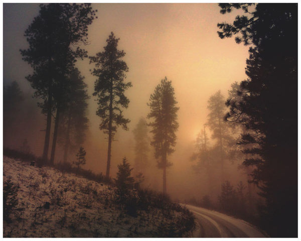 Lolo National Forest Print Set