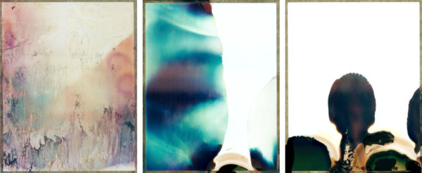 Expired Polaroid Triptych - Framed