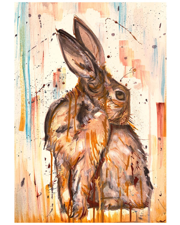 Shy Rabbit Print