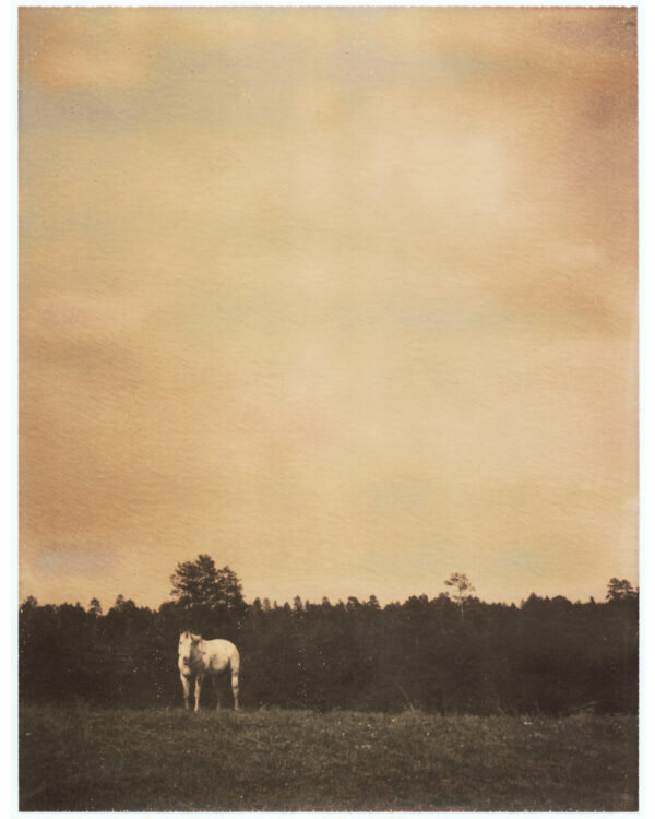 Flagstaff - Framed