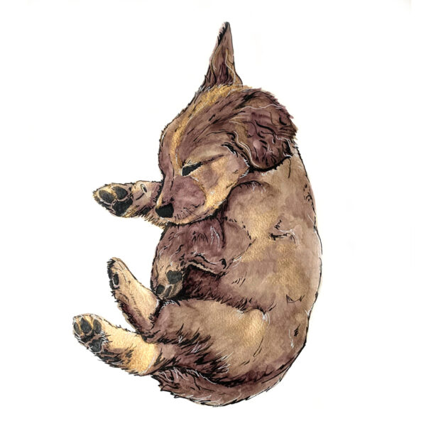 Golden Puppy Painting Print