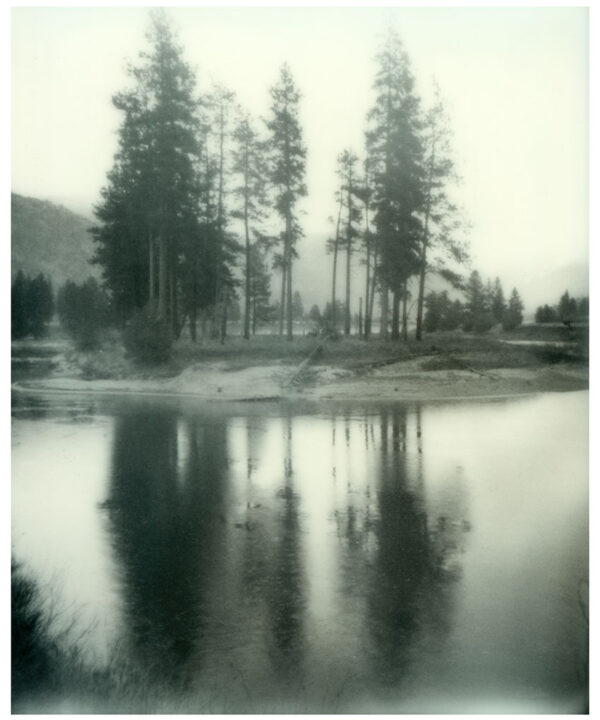 Paradise - Framed