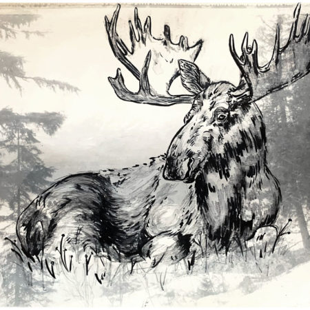 Glacier Moose - Framed