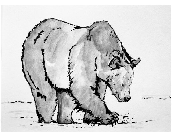 Grizzly Inktober Print - Framed