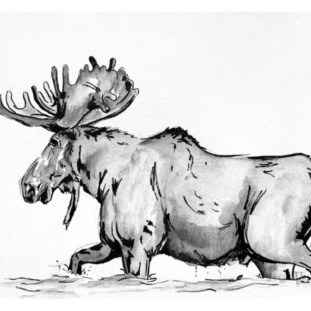 Inktober Moose - Framed