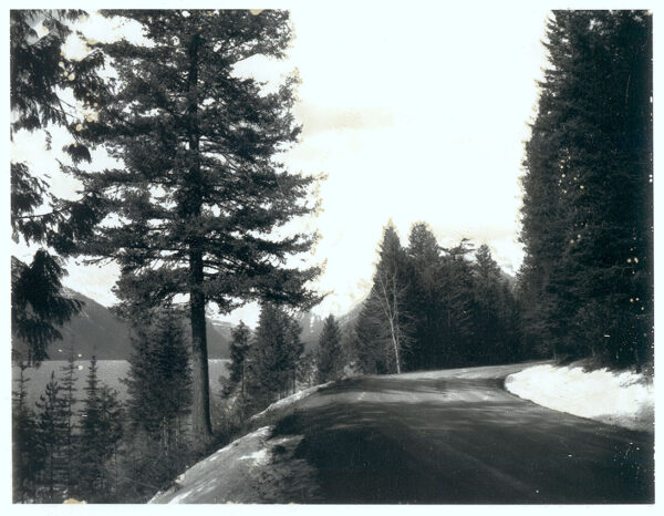 Aged - 12 - Original Polaroid