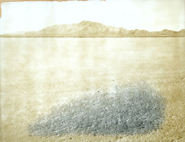Aged - 16 - Original Polaroid