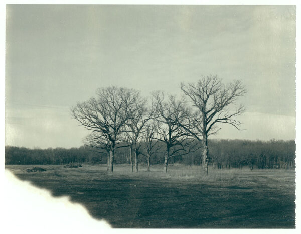 Aged - 21 - Original Polaroid