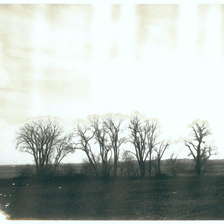 Aged - 28 - Original Polaroid
