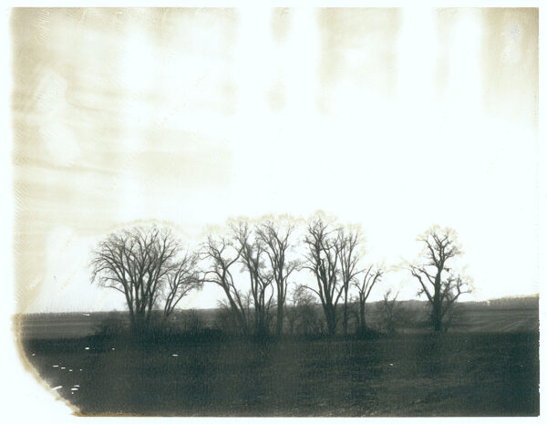 Aged - 28 - Original Polaroid