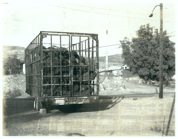 Aged - 35 - Original Polaroid