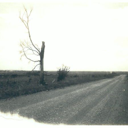 Aged - 57 - Original Polaroid
