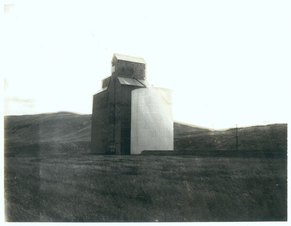 Aged - 60 - Original Polaroid
