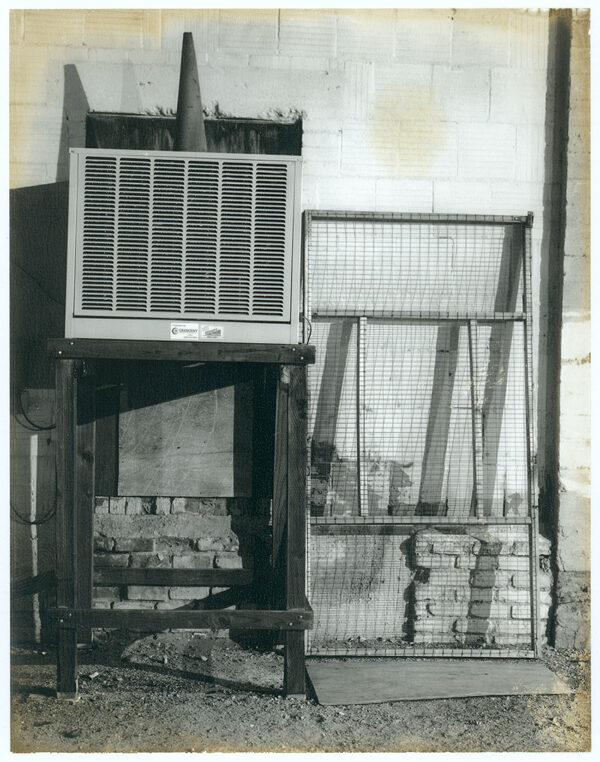 Aged - 61 - Original Polaroid