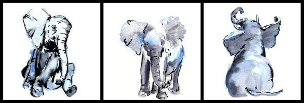 Elephant Calf Print Set