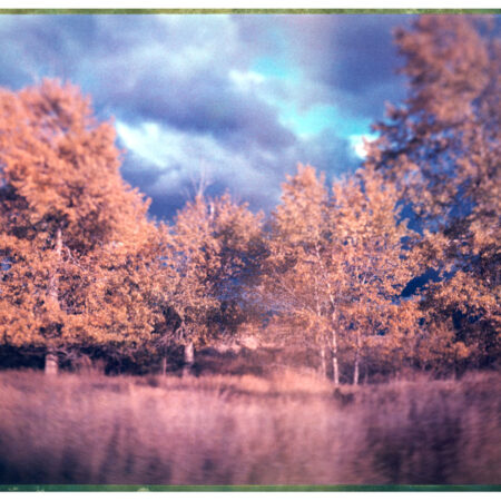Fall in Montana