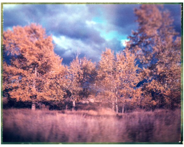 Fall in Montana