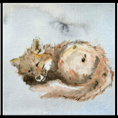 Blue Fox Print Set - Framed