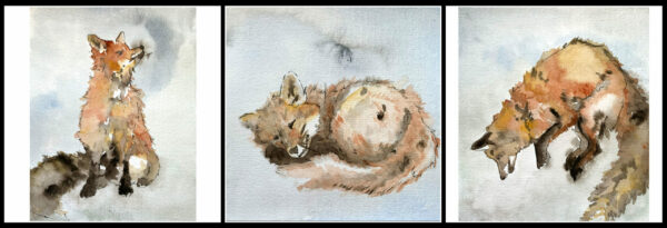 Blue Fox Print Set - Framed