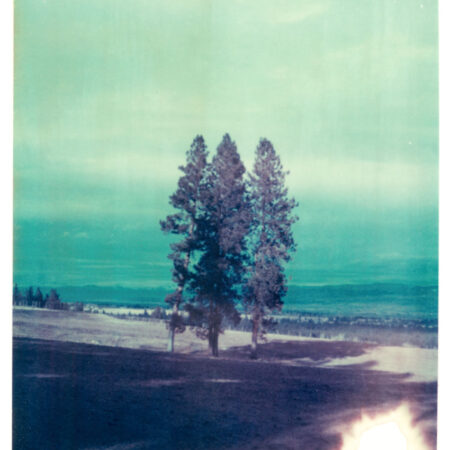Pinesdale