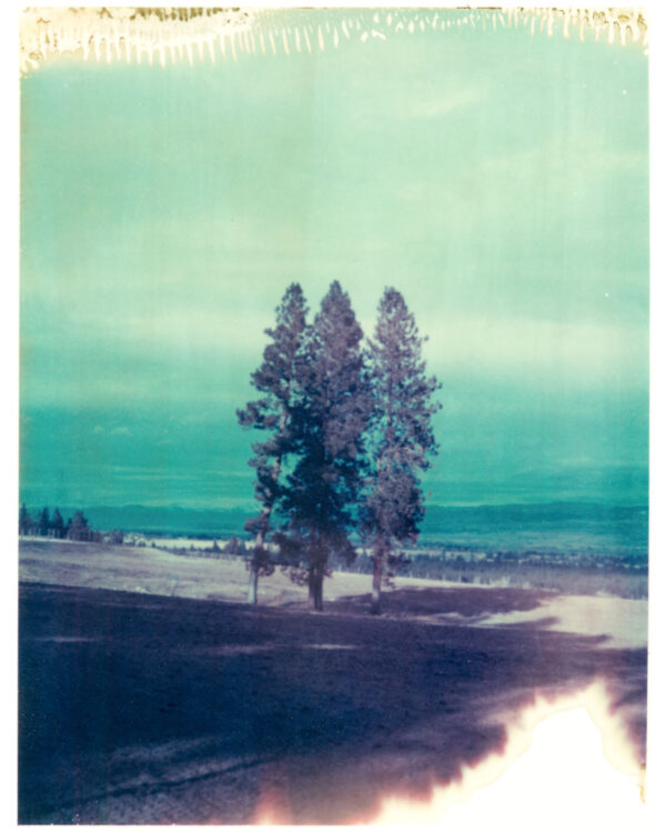 Pinesdale