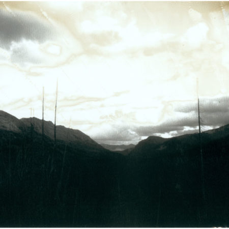 Yellowstone - Aged Series