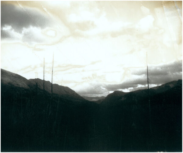 Yellowstone - Aged Series