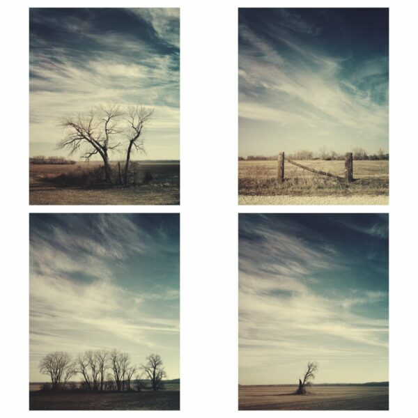 Missouri Print Set - Framed