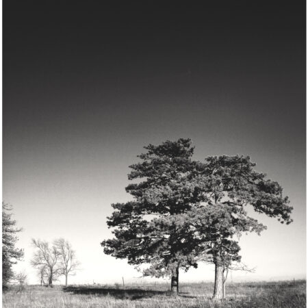 Central Kansas Print Set