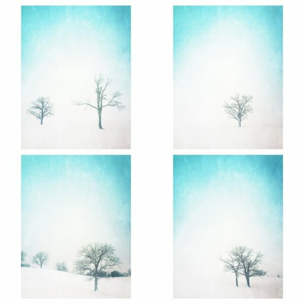 Cold Outside Set - Framed