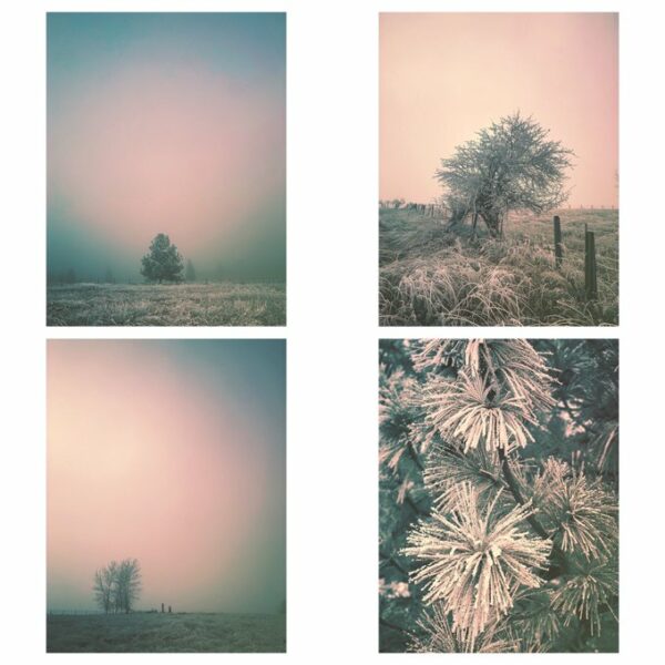 Frosty - Print Set