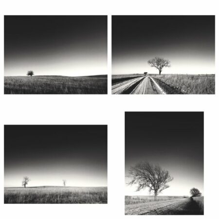 Contrast in the Midwest Pt 2 Print Set