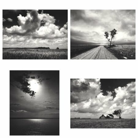 A Day of Contrasts Print Set