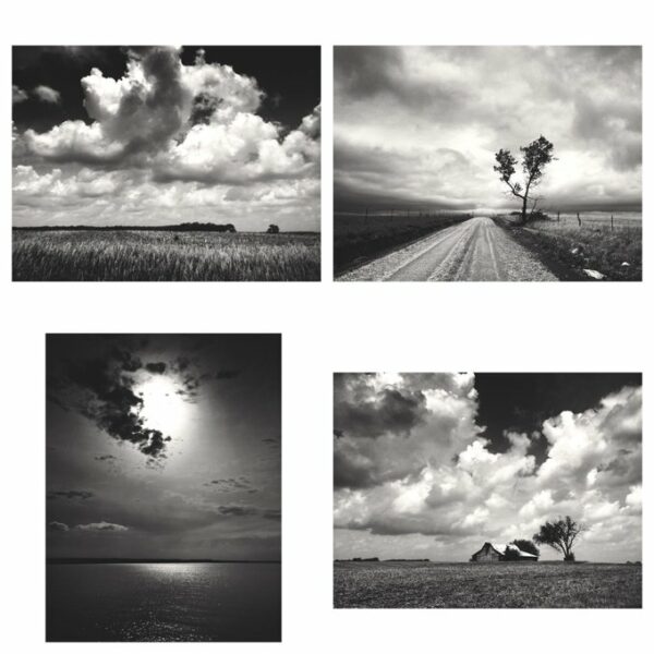 A Day of Contrasts Print Set
